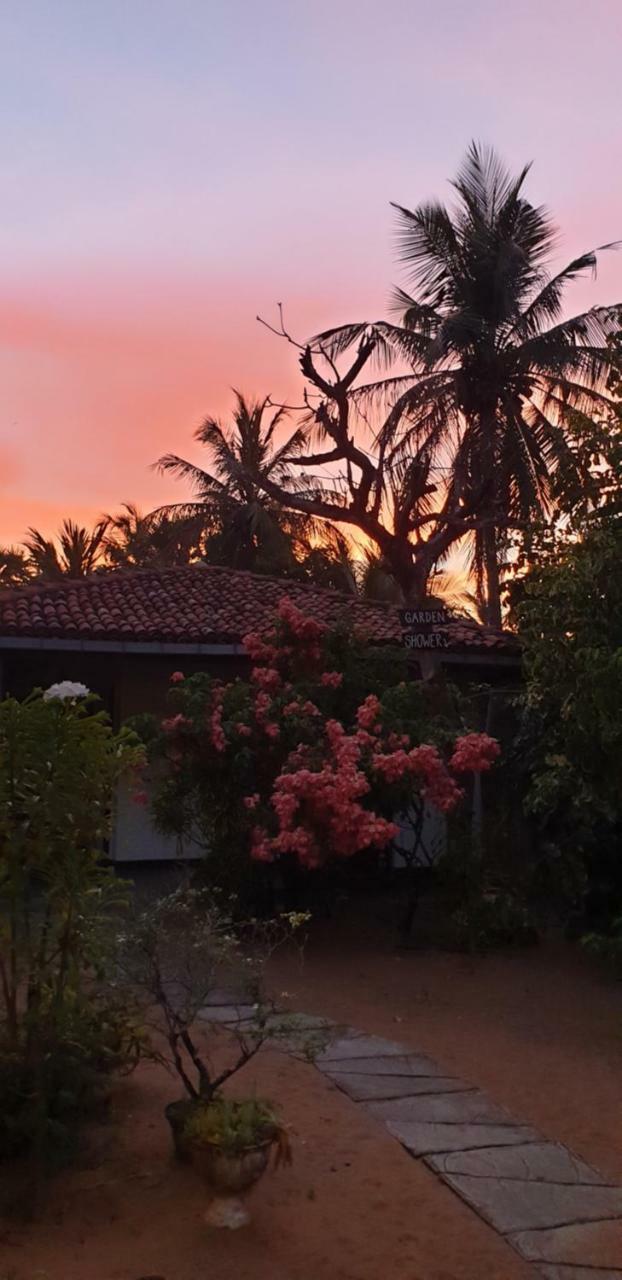 The Danish Villa Resort Arugam Bay Eksteriør billede