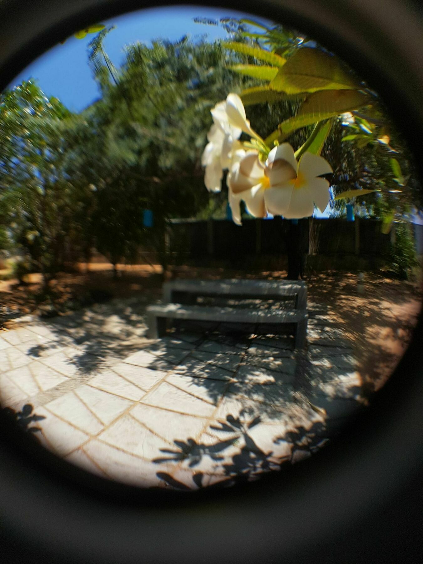 The Danish Villa Resort Arugam Bay Eksteriør billede